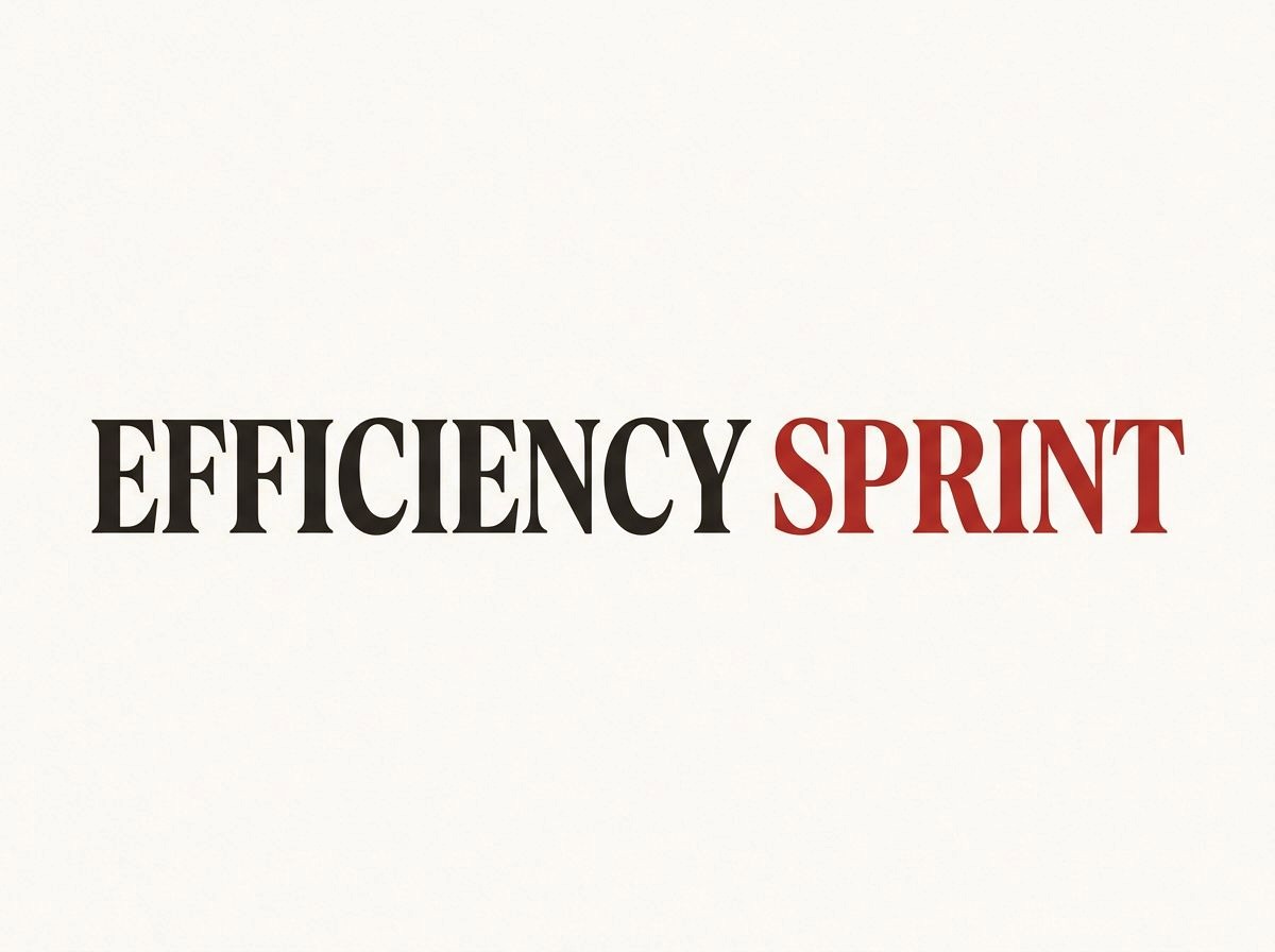 Efficiency Sprint — 90-day business architecture sprint